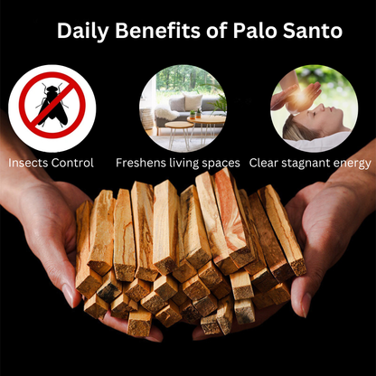 🔥PALO SANTO INCENSE STICKS✨(Free gift for first 300 orders)