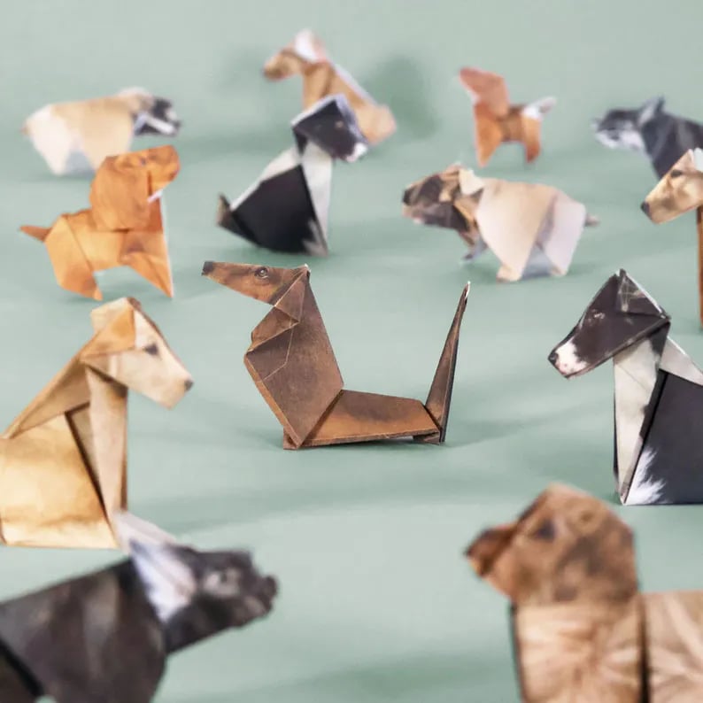 ✨Easy DIY Paper Cats Kit | Guided Lines & Instructions Included🎁Buy More Save More